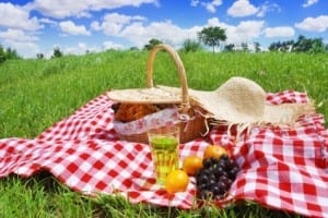 Planning a Great Summer Picnic