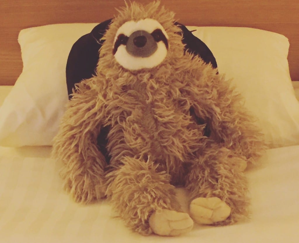 sloth