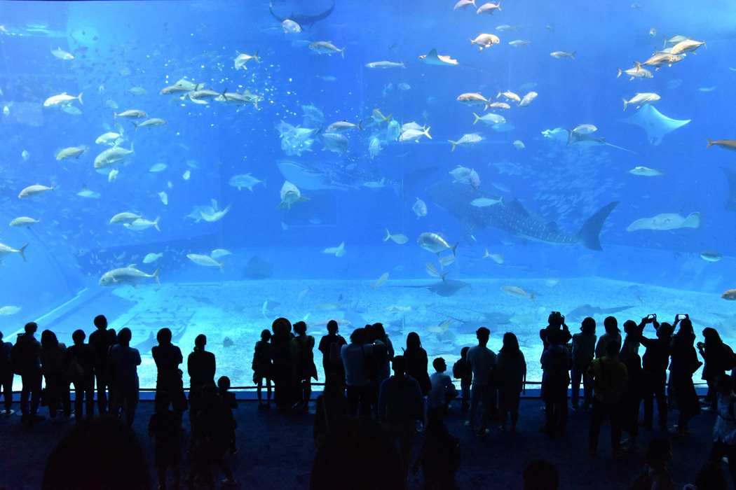 Visit More Than 175 Museums For FREE With Bank of America