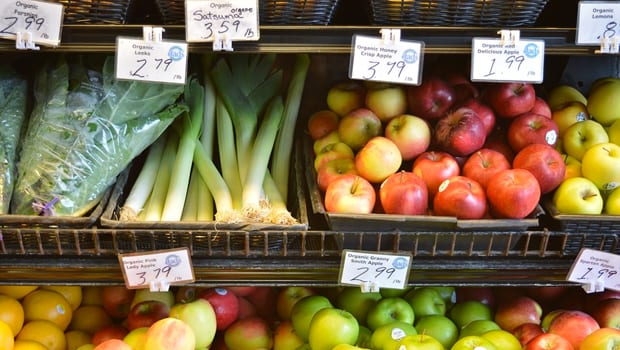 Essential Frugal Grocery Shopping Hacks for Single Folks