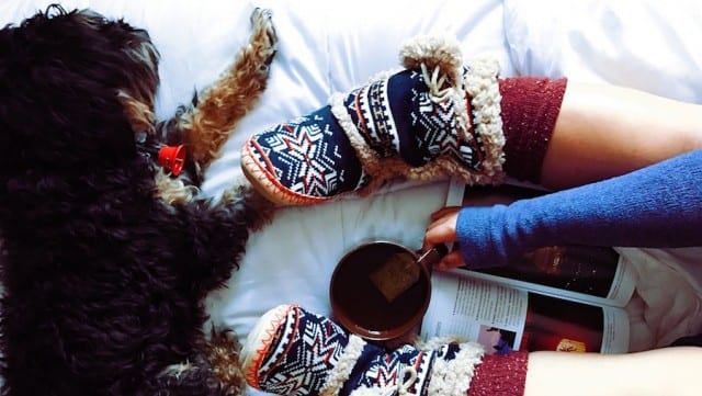 8 Things You’ll Need to Hibernate Your Way Through Winter