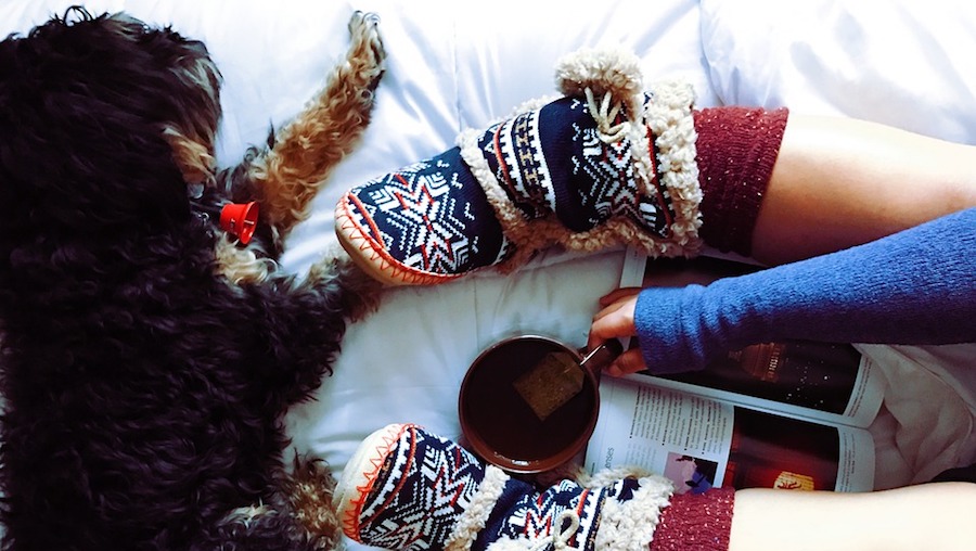 8 Things You'll Need to Hibernate Your Way Though Winter