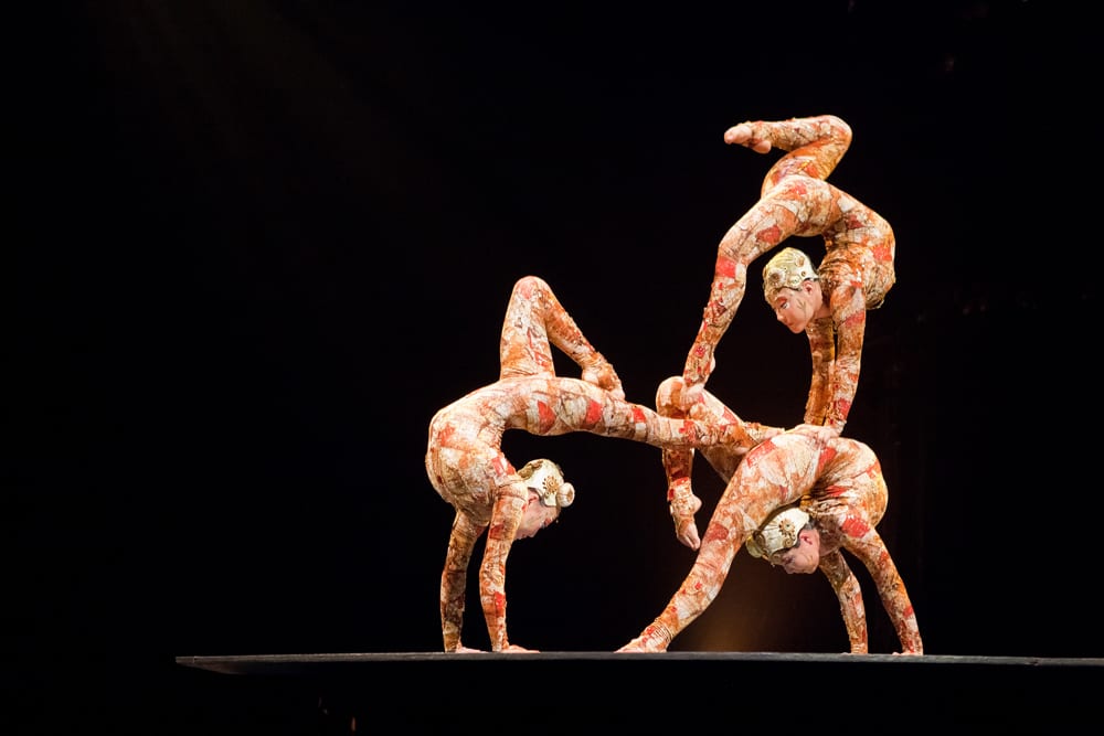 Cirque Du Soleil performers