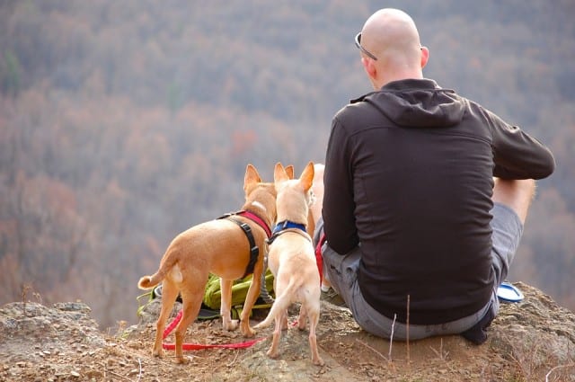 Man sitting with two dogs