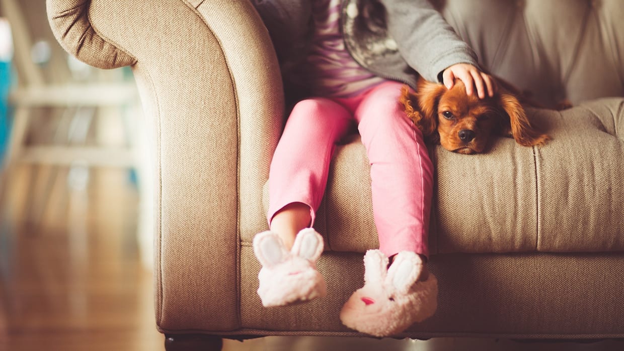 5 Inspired Gift Ideas for Pet Lovers