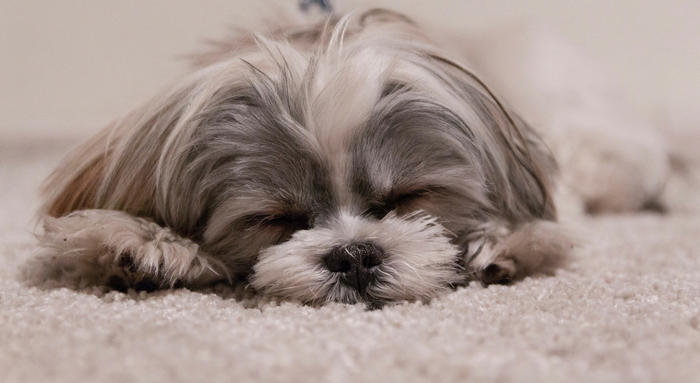 10 Things I Learned From A Month Of Couch Surfing