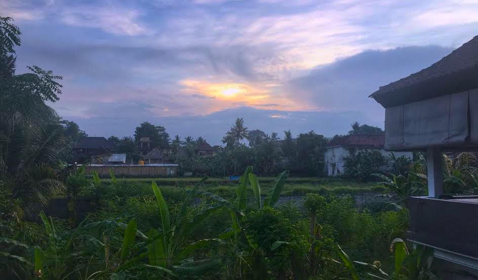 sunrise