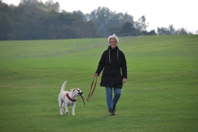 Women walking dog and dog holding stick