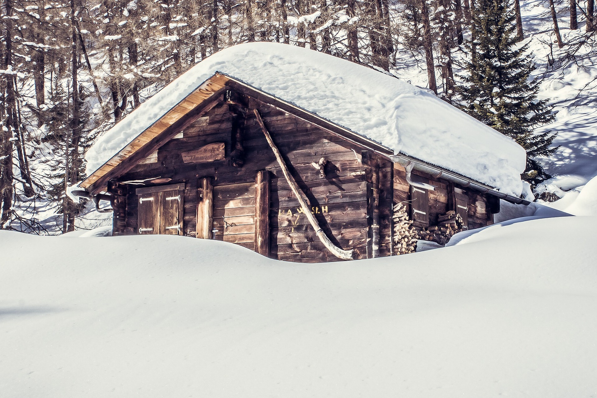 8 Fool-Proof Ways to Brighten Up Your Cold, Dark Winter