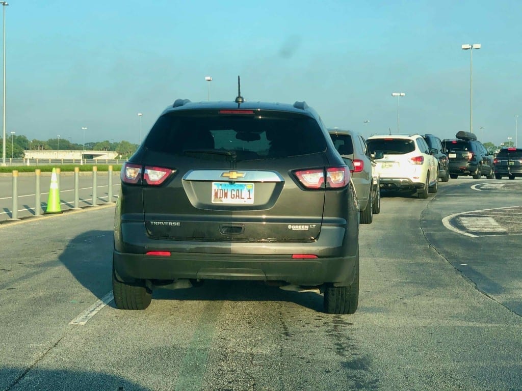 The Hardcore Disney Fans Were Out, For Sure...