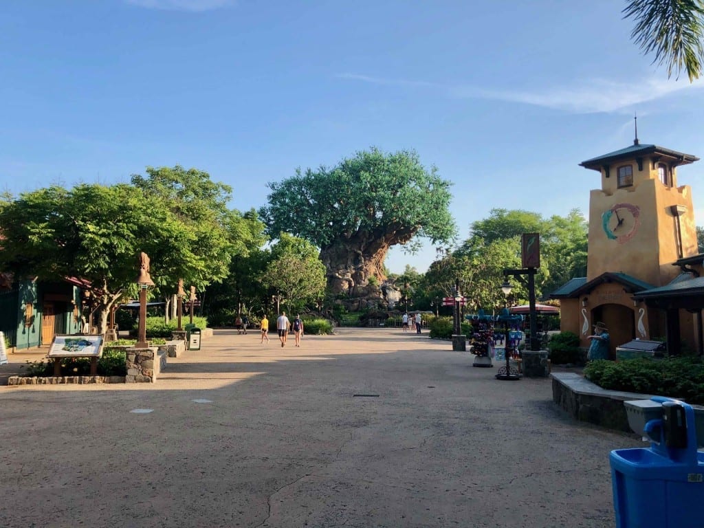 The park was empty right at opening... a rare sight.