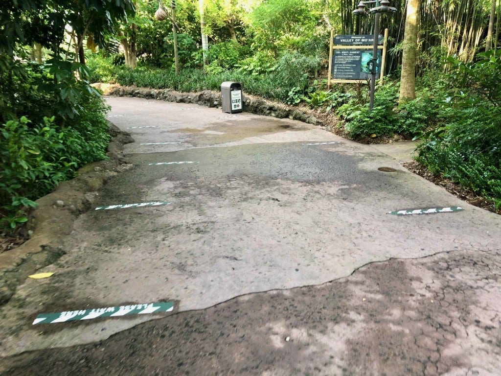 Markings on the pavement to tell folks where to stand.