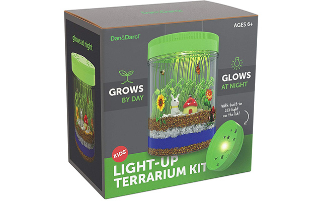 light up terrarium kit