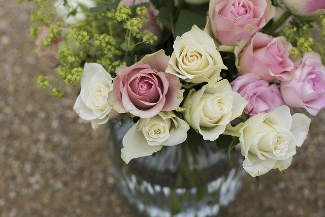 white and pink rose bouquet in vase