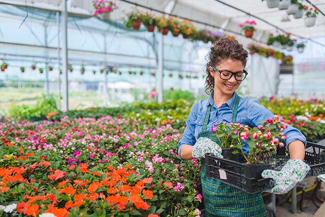 How to Start Gardening on a Budget: Advice From a Shopping Expert