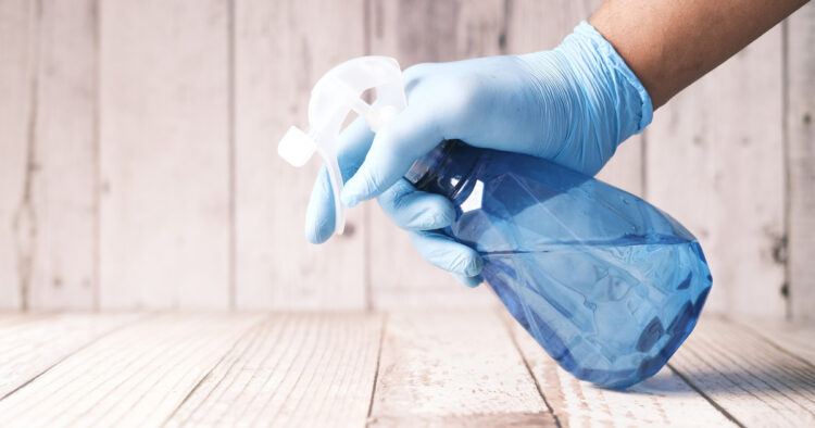 Spring Cleaning Shopping List: 6 Household Items to Help You Scrub Without Spending